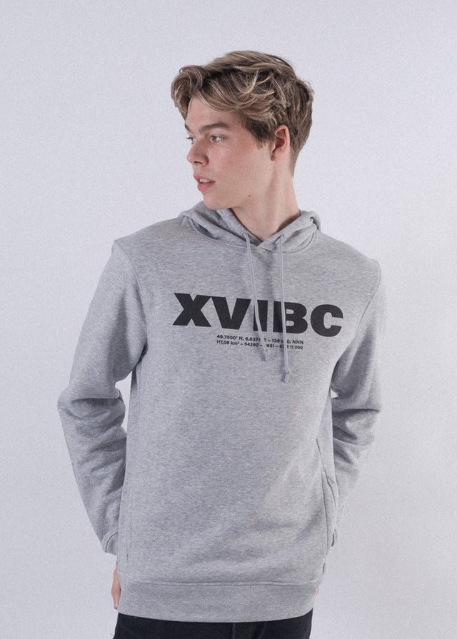 Streetwear Trier Herren Hoodie Grau - XVIBC Die Geburtsstunde Triers