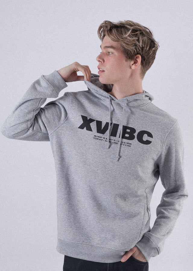 Vegan Fairwear Herren Kapuzenpullover Grau XVIBC