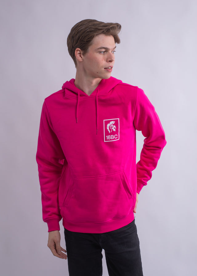 Discount Hoodie Pinker Champion Hoodie Womens Sweatshirt Grey